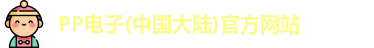 pp电子的官网地址
